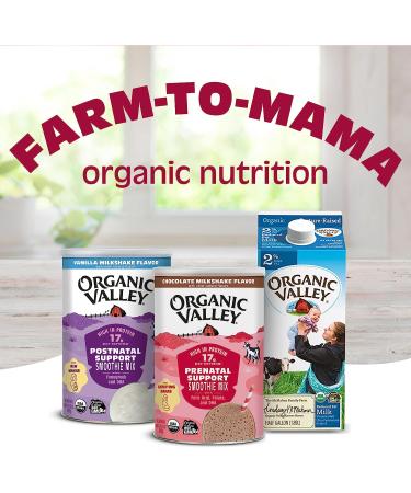 Organic Valley Prenatal Support Chocolate Smoothie Mix 10 oz - Organic Pregnancy Nutrition - Buy Online on GoSupps.com