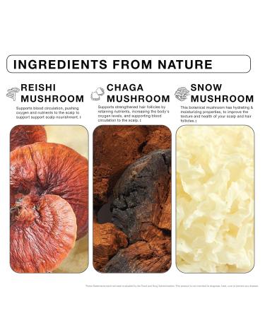 IMARA S Beauty Grow Haircare Gummies - Organic Mushroom Formula for Healthy Hair Growth & Nourished Scalp - Blueberry Flavor Sugar-Free 60 Count - Buy Online on GoSupps.com