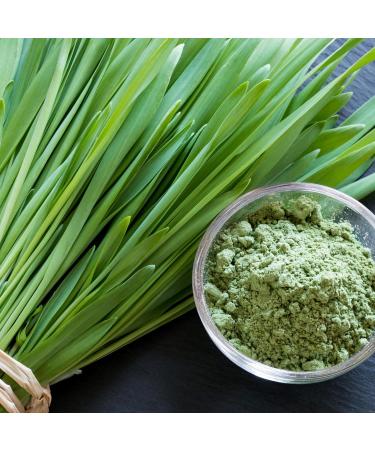 100% Pure Sun-Dried Wheatgrass Powder | Wheatgrass Shot | Smoothi/Juices | Energy Balls | Chemical-Free | Nutrient Retention | Preservative-Free Organic Vegan Eco-Friendly | 150 Grams | 5.29 oz - Buy Online on GoSupps.com