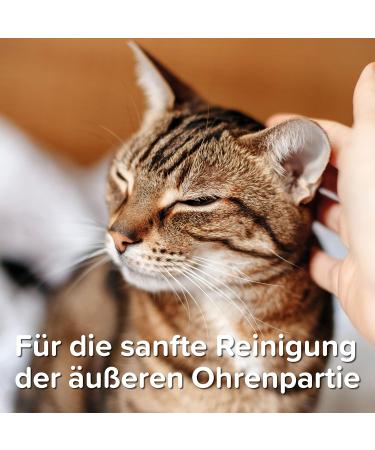 Beaphar Sensitive Ear Cleaner for Dogs & Cats | Gentle Care with MSM | Alcohol-Free | 50ml - Buy Online on GoSupps.com