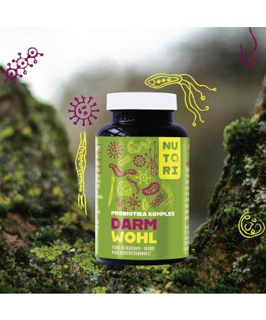 Nutori Probiotics Capsules - High Dose Lactic Acid Bacteria & Lactobacillus - 60 Capsules - Intestinal Health & Renovation - Made in Germany - Buy Online on GoSupps.com