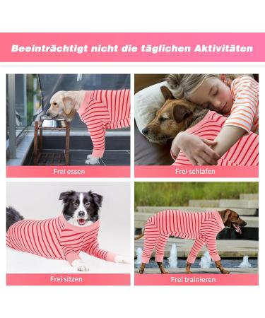 Ranypet One-Divider Dog Pajamas - Surgical Recovery Suit for Large Medium Dogs | Anti-Lick Wound Protection | 2XL Pink - Buy Online on GoSupps.com