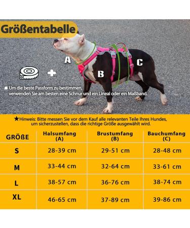 Buy Huntboo Dog Safety Dishes & Harness for Small Dogs - Reflective Waterproof Adjustable Vest in Rose Red - Buy Online on GoSupps.com