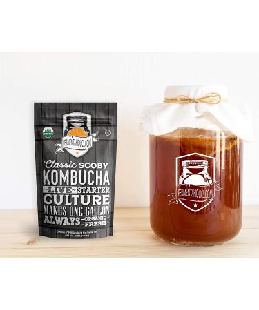 Organic 1-Gallon Kombucha Brewing Starter Kit with SCOBY, Starter Tea, Thermometer, pH Strips & More - Buy Online on GoSupps.com