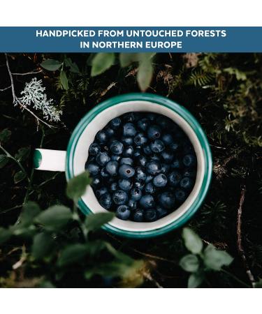 Numami Organic Wild Blueberry Powder | Antioxidant-Rich | Vitamin C | Nordic Forest Harvested | Ideal for Smoothies & Baking - Buy Online on GoSupps.com