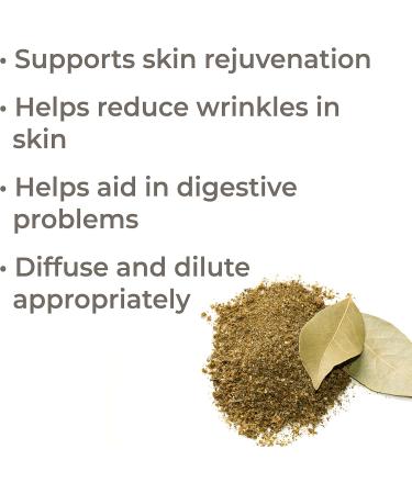 Shop Plant Therapy Sea Fennel Essential Oil 5 mL - 100% Pure Undiluted Therapeutic Grade for International Shipping - Buy Online on GoSupps.com