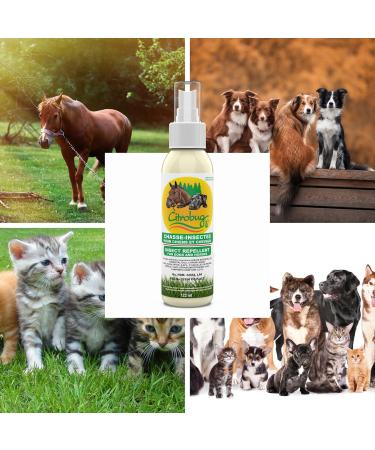 Citrobug Essential Oils Based Insect Repellent for Dogs and Horses - No Deet 122 ml - Buy Online on GoSupps.com