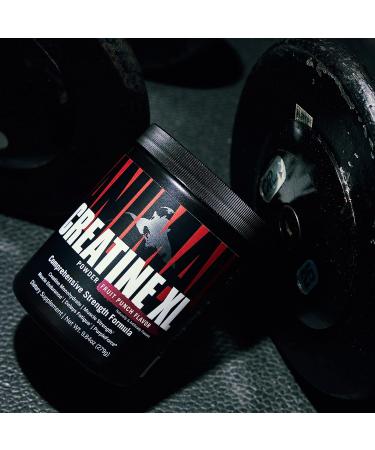 Animal Creatine XL Powder with PurpleForce & Senactiv - Enhanced Creatine Monohydrate Supplement for Endurance and Recovery - Watermelon Flavor - 9.84 oz - Buy Online on GoSupps.com