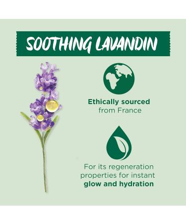 Garnier Organic Lavandin Glow Facial Oil - 30ml | Healthy, Smooth, and Glowing Skin - Buy Online on GoSupps.com
