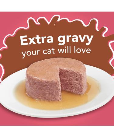 Purina Friskies Extra Gravy Salmon Pate Wet Cat Food 5.5 oz. Cans (Pack of 24) - Buy Online on GoSupps.com
