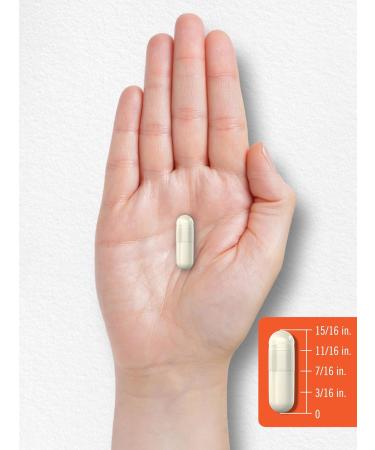 Carlyle Probiotic with Prebiotics & Postbiotics | 25 Billion CFU | 60 Capsules | Supplement for Women & Men | Powder Pills | Vegetarian Non-GMO & Gluten Free - Buy Online on GoSupps.com