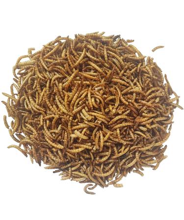 5 kg mealworms dried - bird food fish food rodents birds reptiles hedgehogs