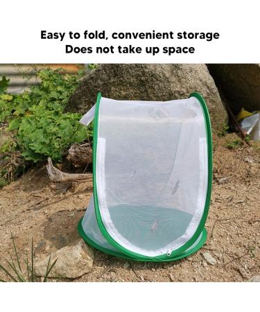 CHICIRIS Butterfly Habitat Pop Up Monarch Butterfly Enclosure Clear Insect Cage Terrarium with Handle 13.2 x 13 x 14.4in - Buy Online on GoSupps.com
