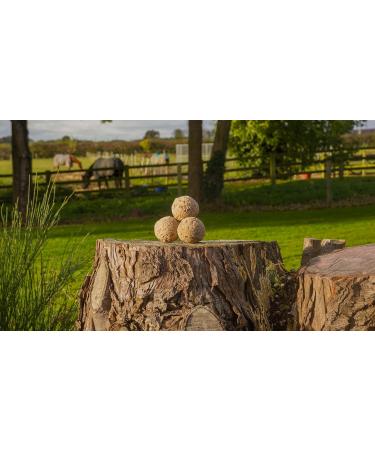 The Suet Shop 80g x 50 Standard Suet Fat Balls - High Energy & Protein for Wild Birds - Buy Online on GoSupps.com