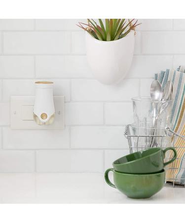 Glade PlugIns Cashmere Woods Air Freshener Starter Kit - 0.67 Fl Oz - Home and Bathroom Scented Oil Refill - 1 Warmer + 1 Refill (Pack of 1) - Buy Online on GoSupps.com