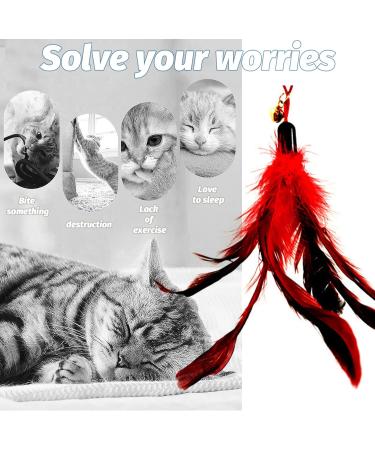 IOSPKKIO Pack of 10 Cat Feather Toys Replacement Cat Toy Magic Wand Refills with Storage Bag Cat Feather Refill Interactive Cats - Buy Online on GoSupps.com