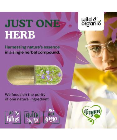 Wild & Organic Skullcap Herb Capsules 1200 mg - Calming Skullcap Supplement - 120 Capsules - Scutellaria Lateriflora Leaf Extract - 2-Month Supply - Vegan No Fillers Non-GMO 120 Count (Pack of 1) - Buy Online on GoSupps.com