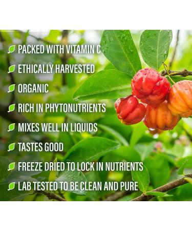 Perfect Supplements Acerola Powder 156g - Pure Cherry Vitamin C Superfood for Immune Support - Buy Online on GoSupps.com