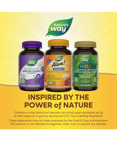 Nature s Way Alive! Kids Zero Sugar Gummy Multivitamins for Kids Ages 2+ Supports Bone Eye & Immune Health* No Sugar Alcohols Plant-Based Sweeteners Berry-Citrus Flavored 60 Gummies - Buy Online on GoSupps.com