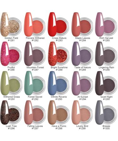 Aikker 20 Fall Colors Dip Powder Nail Kit 27 Pcs Set | Glitter Gold Dark Purple Red | Base Top Coat Activator Tools | Salon Manicure Gift | AK38 - Buy Online on GoSupps.com