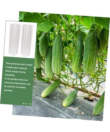 VANZACK Garden Fruit Mould 2pcs Vegetable Shaping Vegetables Flower Shaped Cucumber Molds Fruit Molds Modeling - Buy Online on GoSupps.com