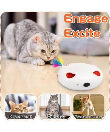 LOiold Cat Toy 4in1 Indoor Automatic Interactive Toy for Kittens Fluttering Butterfly Moving Feather Track Balls USB Powered Cat Toy (Interactive cat Toy) - Buy Online on GoSupps.com
