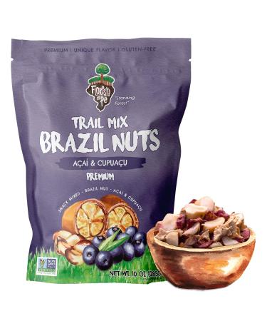 True Organic Brazil Nuts Roasted A ai Fruit Nibs Premium Snack Mix - 10 OZ | Floresta em P - Buy Online on GoSupps.com