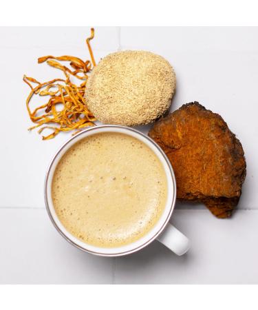 Organic Performance Mushroom Blend | Laird Superfood - Energy & Cognition | Chaga, Cordyceps, Lion's Mane, Maitake - 3.17 oz - Buy Online on GoSupps.com