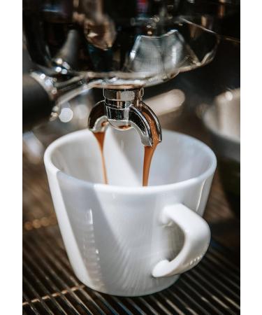 Kopi Luwak Coffee 100% Arabica 50g (Free-Range Cat Coffee) (50g Bean) | Pure Variety | Rare Coffee | Direct Trade - Buy Online on GoSupps.com