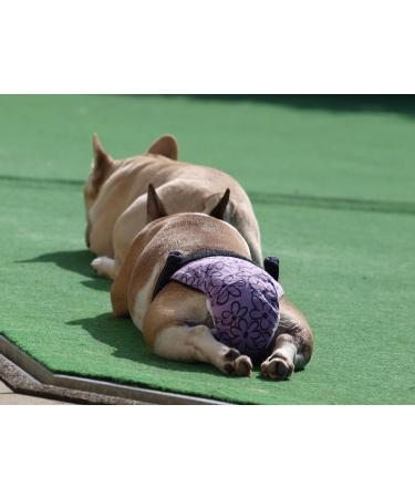 Glenndarcy Dog Diapers Without Tail Hole for French Bulldogs | Medium Unicorn Long Pants - Comfortable & Stylish - Buy Online on GoSupps.com