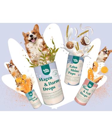 Hellobello Gastrointestinal Drops for Dogs - 3 x 350g | Supports Digestion Colon Regulation & Healthy Intestinal Flora with Probiotics & Prebiotics - Buy Online on GoSupps.com