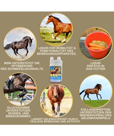 MSM Horse & Willow Bark Horse I MSM Liquid Horse I Equi P Pate Tendons Ligaments I Collagen Horse I MSM Horse Food Glucosamine Chondroitin - Flexible Joints + Vitamin 1 L 30 ml - Buy Online on GoSupps.com