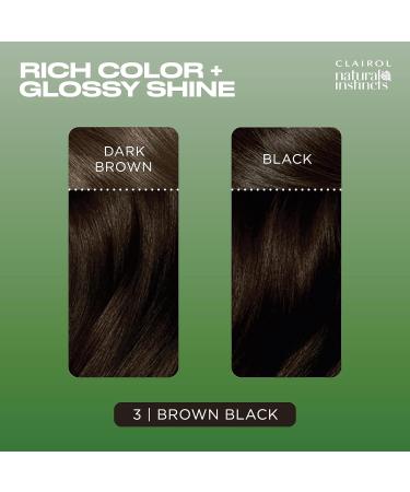 Clairol Natural Instincts Demi-Permanent Hair Dye 3 Brown Black 3-Pack - 3 Brown Black 1 Fl Oz - Buy Online on GoSupps.com