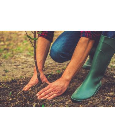 Buy BOGUE No.11 Goat Milk Soap - Gardener Blend with Juniper Berry & Cornmeal | Healing Essential Oils for Clean Skin | 2 Bars - International Shipping - Buy Online on GoSupps.com