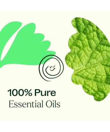 Plant Therapy Gut Aid Essential Oil Blend Roll-On 10 mL | 100% Pure & Pre-Diluted Natural Aromatherapy | Shop Internationally - Buy Online on GoSupps.com
