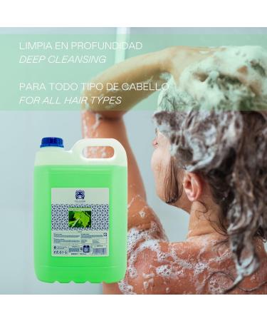 Valquer Profesional Special Chlorophyll Shampoo for Professional Hairdressing Carafa 5000 ml - Buy Online on GoSupps.com
