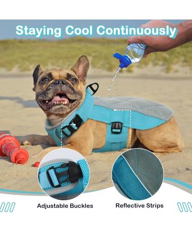 Hjumarayan Dog Cooling Vest - Breathable XXL Summer Coat with D-Rings - Perfect for Hot Days - Blue - Buy Online on GoSupps.com