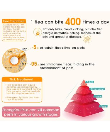 Natural Cat Flea & Tick Prevention Spot-On Treatment | 2-25 lbs | 9 Month Supply - Buy Online on GoSupps.com