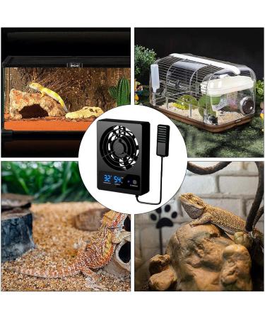 Ventilation Fan for Reptile Enclosure | Intelligent Reptile Temperature Gauge with LED Display - Strong Wind Vent Fan Low Noise Cooling Fan for Amphibians Reptiles Snakes Fulenyi A: ( ) - Buy Online on GoSupps.com