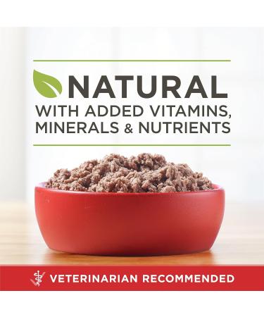 Purina ONE Classic Ground True Instinct Wet Dog Food Turkey & Venison - 368 g Can (12 Pack) - Buy Online on GoSupps.com