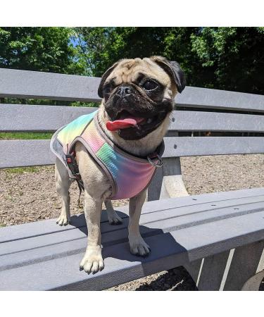 MOPP Dog Cooling Vest - Rainbow Large | Breathable 3-Layer Evaporative Cooler for Small Medium Dogs | Ideal for Training and Walking - Buy Online on GoSupps.com
