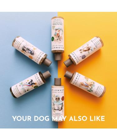 WildWash Nourishing Dog Conditioner 300ml - Shea Butter & Coconut for Hydration - Detangles Long Hair - Natural, Sulphate & Paraben-Free - Buy Online on GoSupps.com