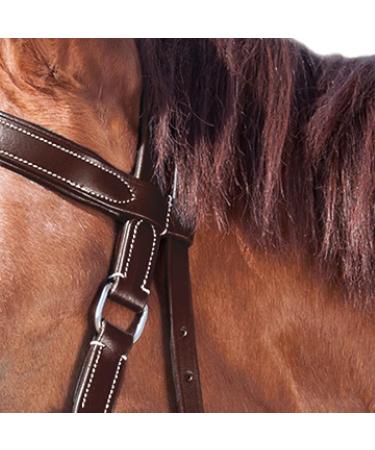 Shop WALDHAUSEN Star Bitless Bridle for Warmbloods Brown | International Shipping Available - Buy Online on GoSupps.com