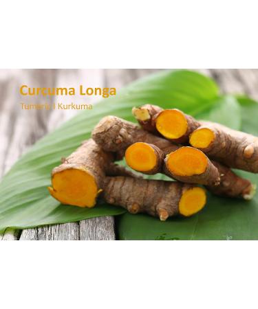 Sorion Cream Sensitive - Ayurvedic Treatment for Skin Irritation, Neurodermatitis, Psoriasis - Buy Online on GoSupps.com