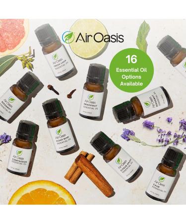 Premium Grade Sweet Orange Essential Oil | 100% Pure Vegan Aromatherapy | Ideal for Diffuser & Humidifier | 10ml | Made in the USA - Buy Online on GoSupps.com