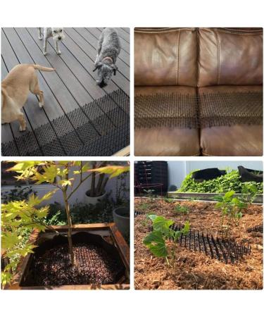 Cat Scat Mat with Spikes - 6.5ft Home Spike Deterrent for Prickles - Buy Online on GoSupps.com