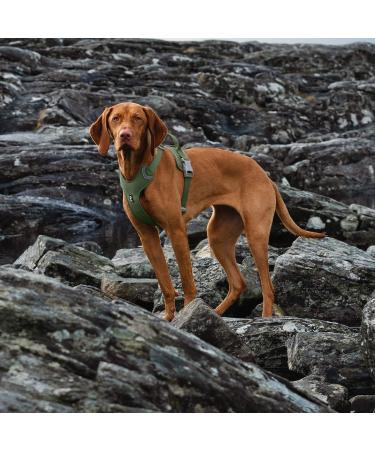 Hurtta Weekend Warrior Eco Dog Harness - Hedge | Adjustable 99-119 cm | Durable & Stylish Dog Gear for International Shipping - Buy Online on GoSupps.com