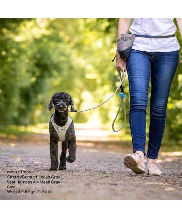 Buy Stretch Comfort Leash Ruby L - International Shipping | Durable & Stylish Dog Leash - Buy Online on GoSupps.com