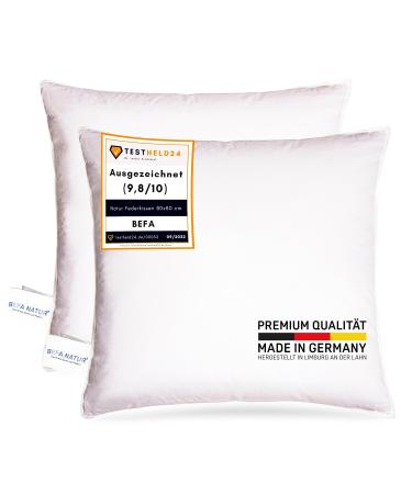 BEFA NATUR Made in Germany feather pillow 80x80 cm white pillow made of new feathers class 1 1500g. Suitable for allergy sufferers (nomite) Oeko-Tex 100 class 1 certified Downpass (2 pieces) 80 x 80 cm 2