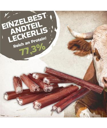 Premium Ox Tails for Dogs | 10 Pieces | Healthy Dog Treats & Chews | Perfect for Puppies & Large Dogs - Buy Online on GoSupps.com